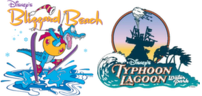1-Day Disney Water Park - Adult Ticket